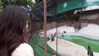 [本土精选!] JL屌哥 富商约情慾网红穿着女僕装被狂插猛送~急促呻吟搞到高潮!!