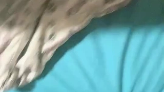 清纯秘书