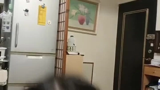 中关村虐恋王子专属系列（狗B种蒜台）