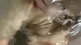 露脸3p，爱舔逼的单男“我好喜欢两根鸡巴一起操我啊”